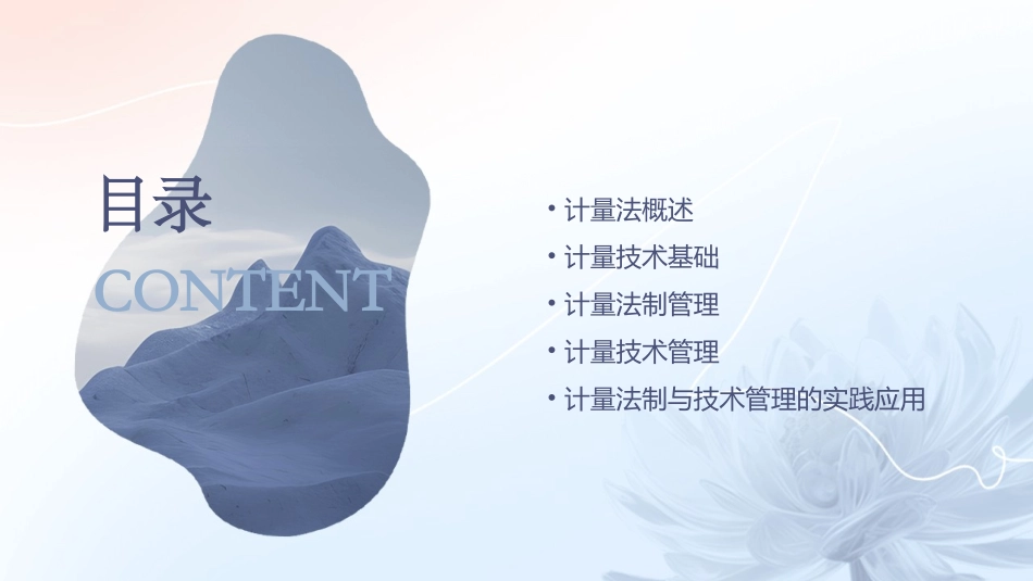 计量法制与技术管理课件_第2页