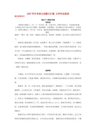 中考语文试卷大汇编 文学作品阅读试卷