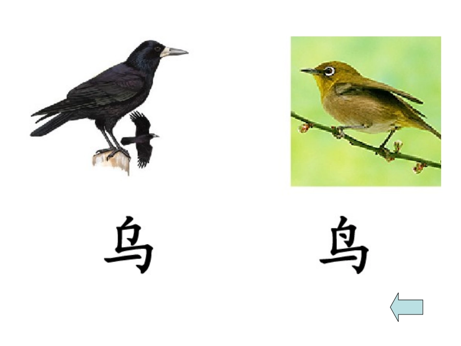 《乌鸦喝水》(2)_第2页