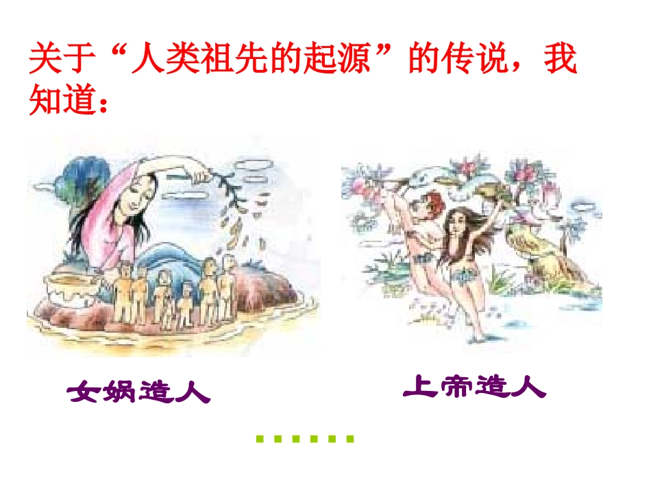 第一课-原始先民的家园_第2页