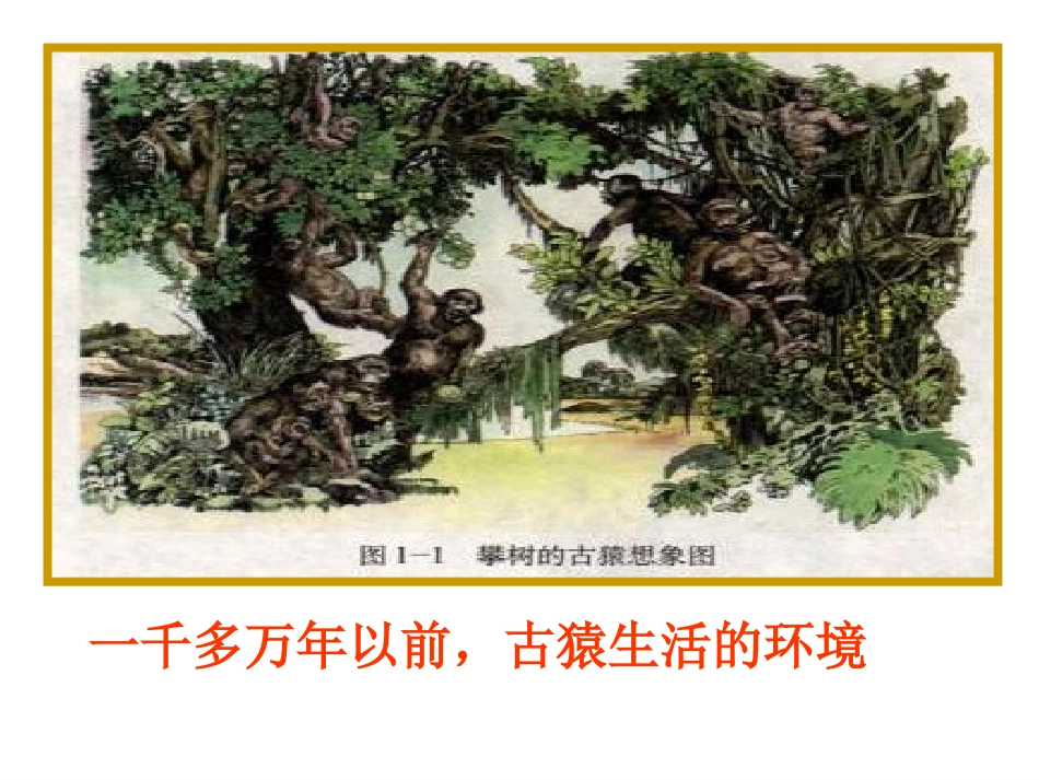 第一课-原始先民的家园_第3页