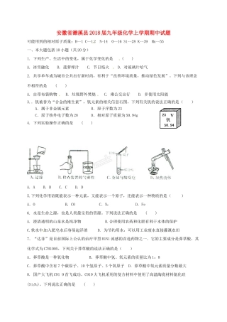 安徽省濉溪县九年级化学上学期期中试卷 新人教版试卷