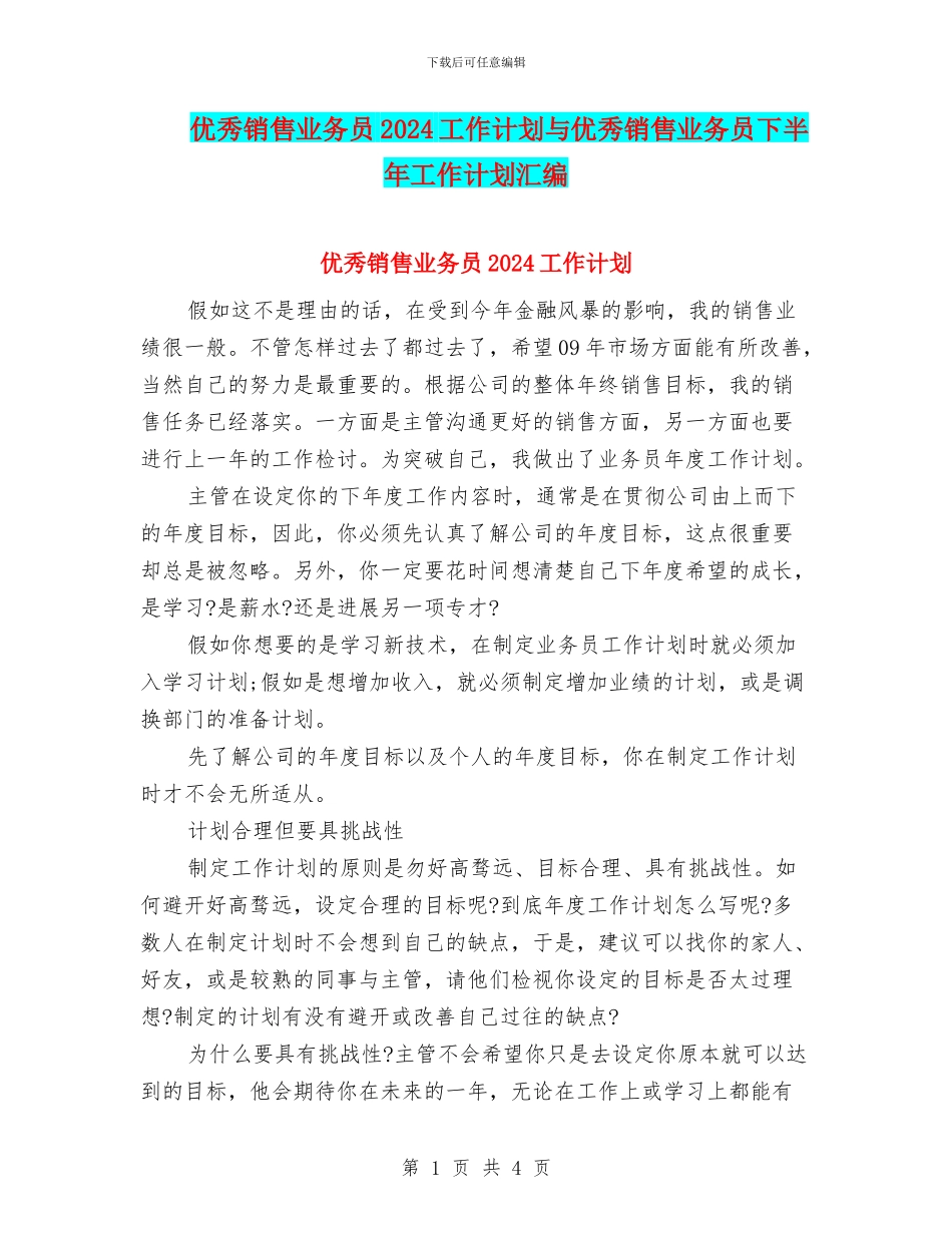 优秀销售业务员2024工作计划与优秀销售业务员下半年工作计划汇编_第1页