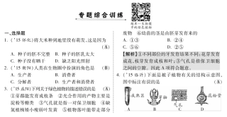 中考生物 第二部分 重点专题突破 专题四 生物圈中的绿色植物复习专题综合训练(pdf，含解析) 苏教版试卷