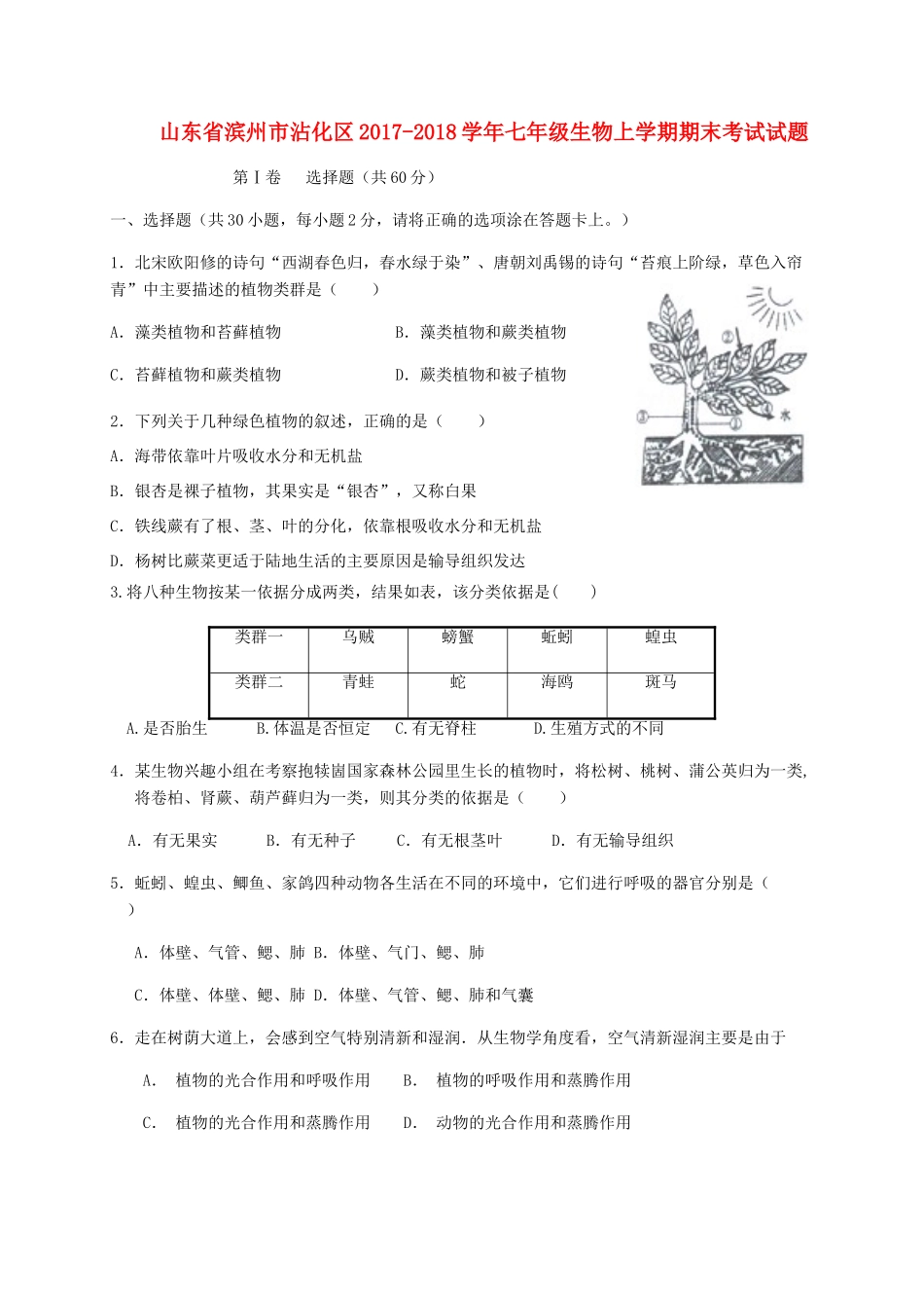 山东省滨州市沾化区七年级生物上学期期末考试试卷 新人教版试卷_第1页