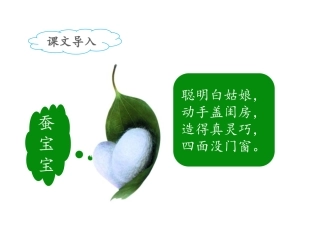 11我是一只小虫子-(3)