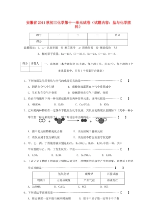 九年级化学秋第十一单元 盐与化学肥料试卷 人教新课标版试卷