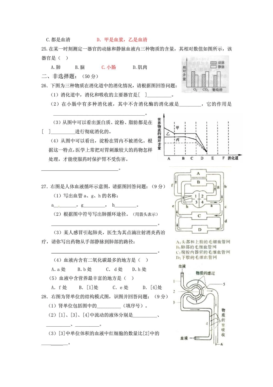 山东省济南37中七年级生物下学期期末考试试卷(pdf) 新人教版试卷_第3页