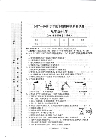 九年级化学下学期期中素质测试试卷(pdf) 河南省驻马店市泌阳县九年级化学下学期期中素质测试试卷(pdf)