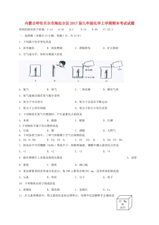 内蒙古呼伦贝尔市海拉尔区届九年级化学上学期期末考试试题