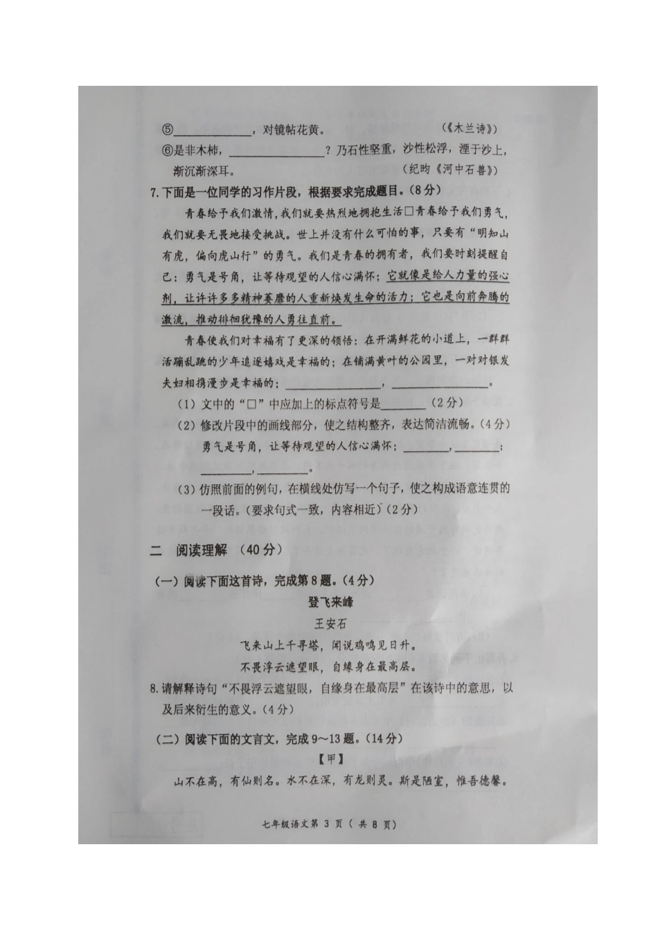山东省临沂市兰陵县七年级语文下学期期末考试试卷试卷_第3页