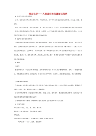高一化学 知识点精析精练 人类进步的关键知识归纳