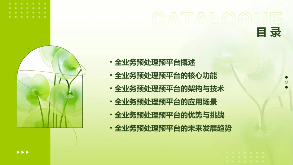 全业务预处理预平台课件_第2页