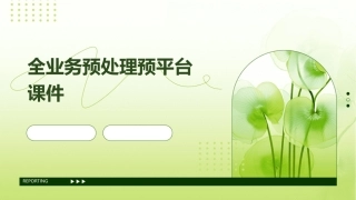 全业务预处理预平台课件