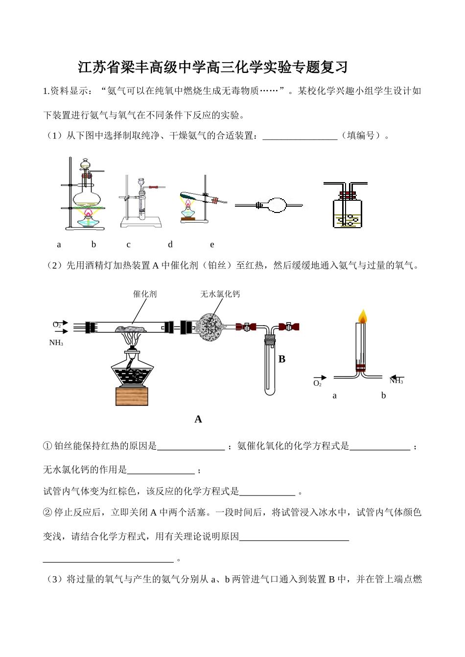 江苏省梁丰高级中学高三化学实验专题复习_第1页