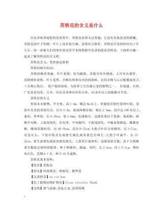 苏铁花的含义是什么 
