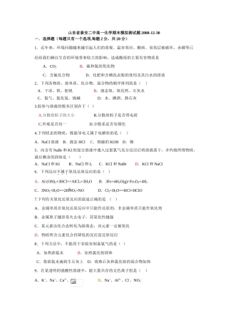 山东省泰安二中高一化学期末模拟测试题人教版必修一