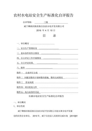 乐溪水电站安全生产标准化自评报告