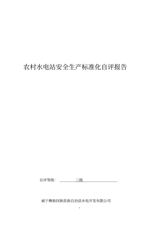 乐溪水电站安全生产标准化自评报告资料