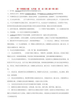九年级政治 第1-3课复习题试卷