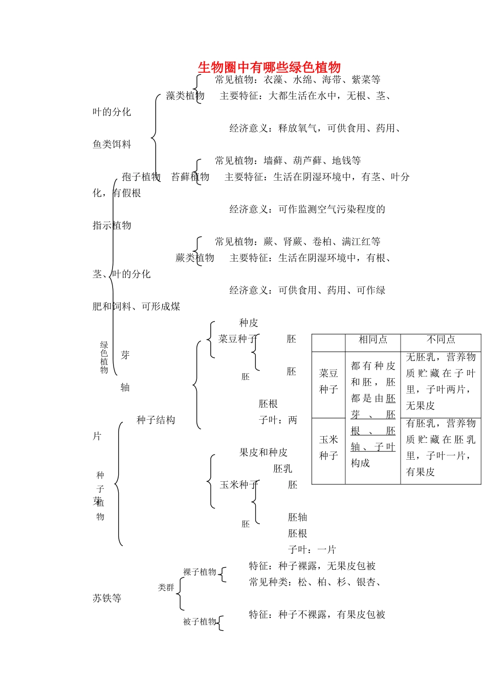 中考生物 生物圈中有哪些绿色植物同步测试试卷_第1页