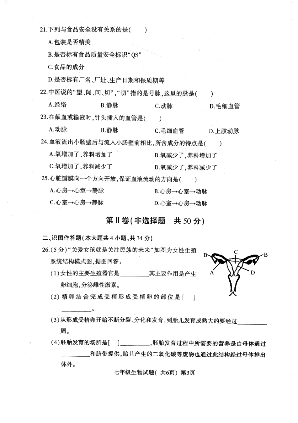 山东省莘县七年级生物下学期期中试卷(pdf) 新人教版试卷_第3页