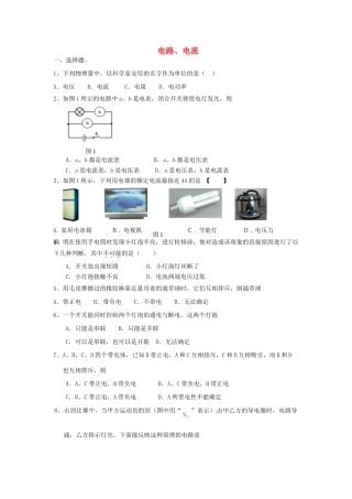 中考物理专题训练 电路、电流试卷