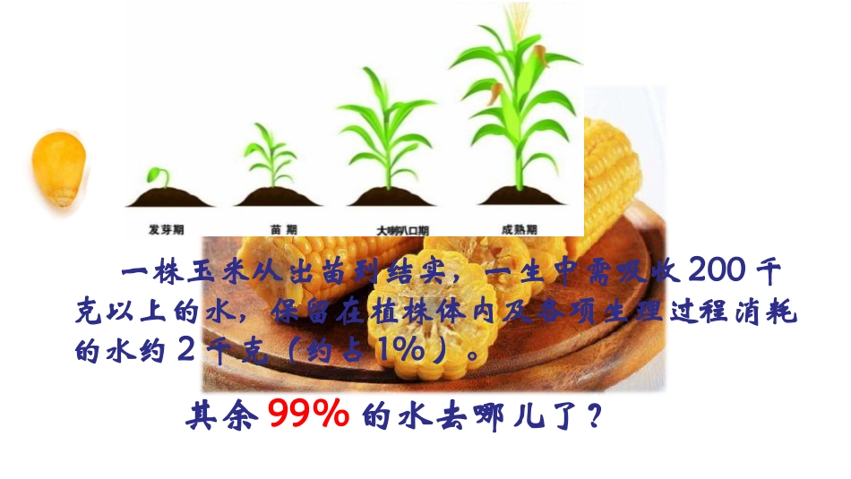 第1节绿色植物与生物圈的水循环_第1页