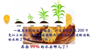 第1节绿色植物与生物圈的水循环