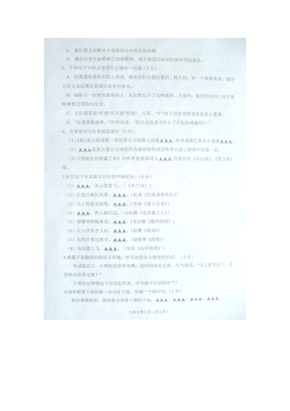 山东省临沂市七年级语文下学期期末试卷新人教版试卷_第2页