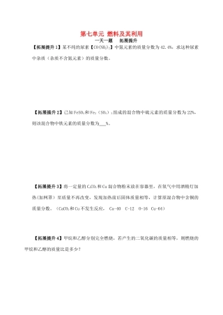 九年级化学上册 第7单元(燃料及其利用)一天一题 拓展提升(新版)新人教版试卷