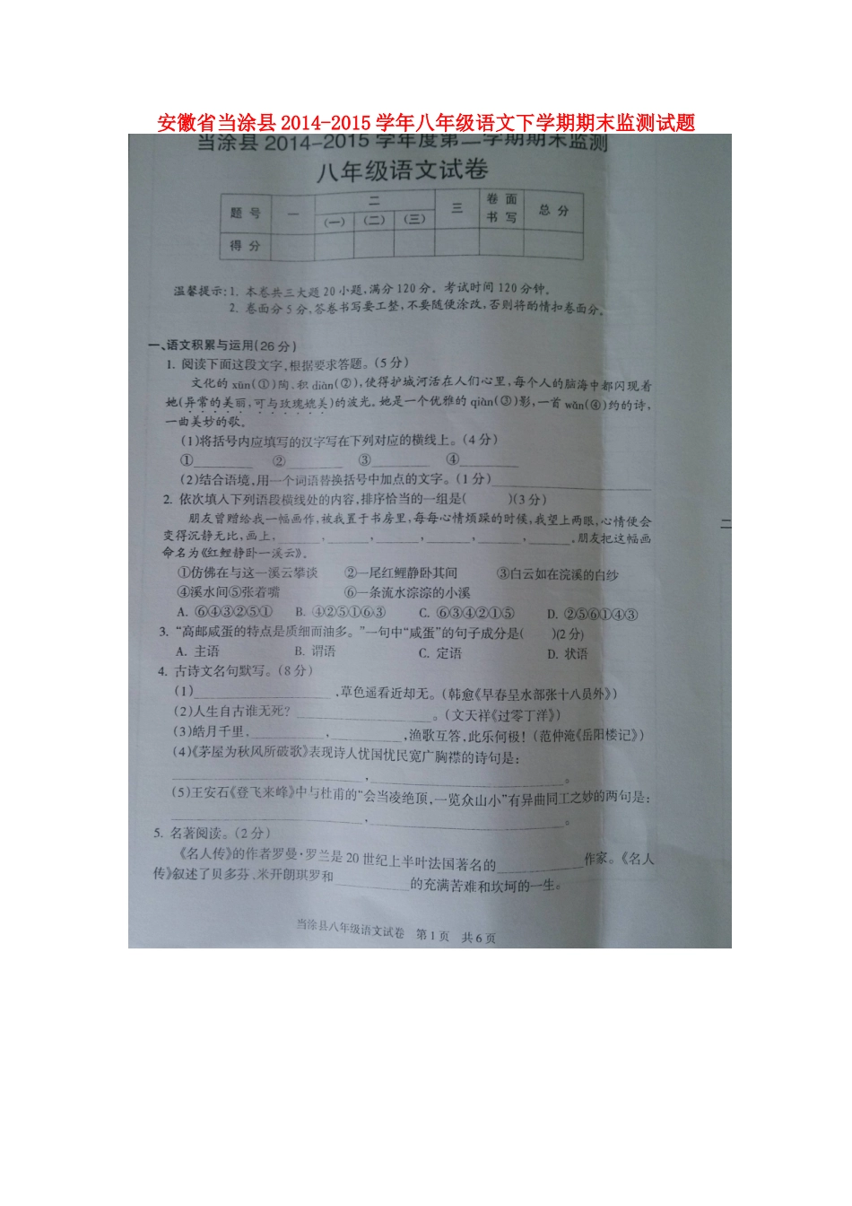 安徽省当涂县 八年级语文下学期期末监测试卷试卷_第1页