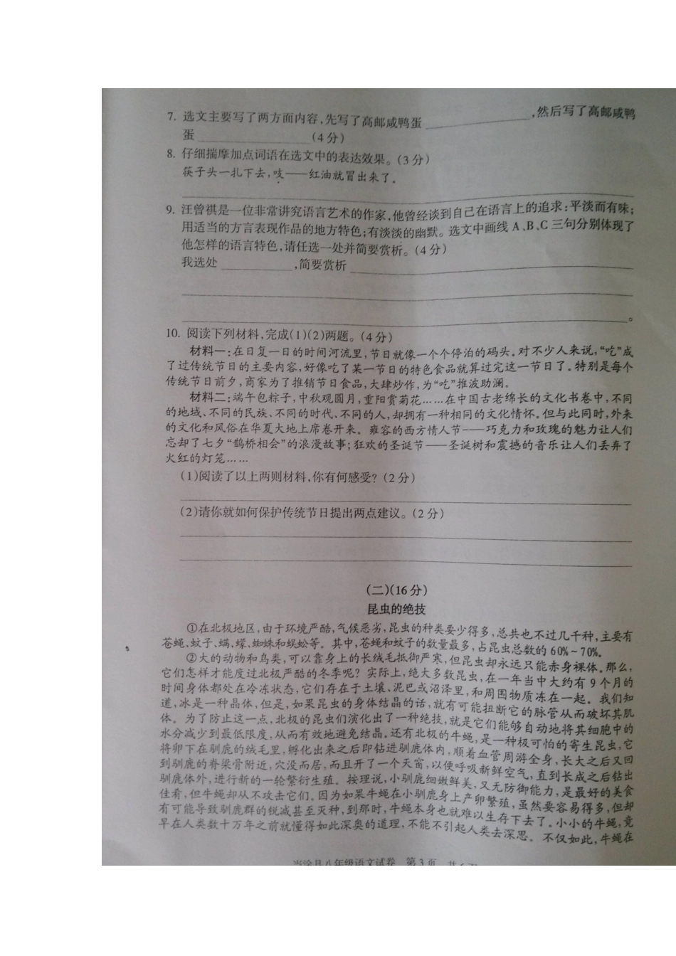 安徽省当涂县 八年级语文下学期期末监测试卷试卷_第3页