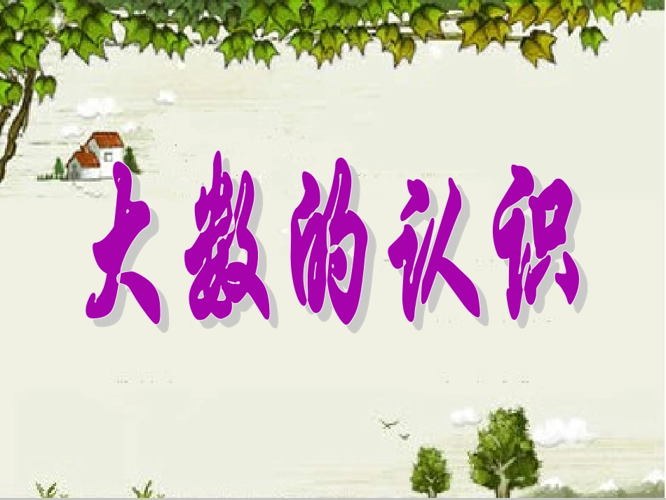 《大数的认识》-(4)_第1页