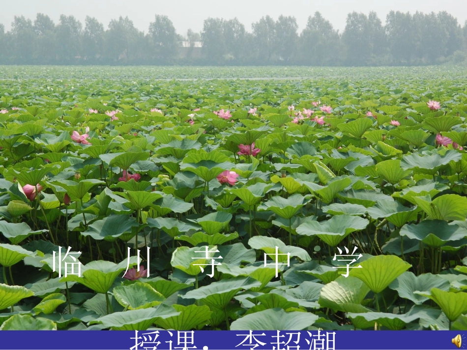 爱莲说采用稿_第1页