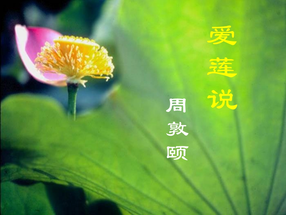 爱莲说采用稿_第2页