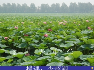 爱莲说采用稿