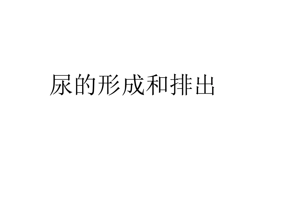-尿的形成和排出课件_第1页