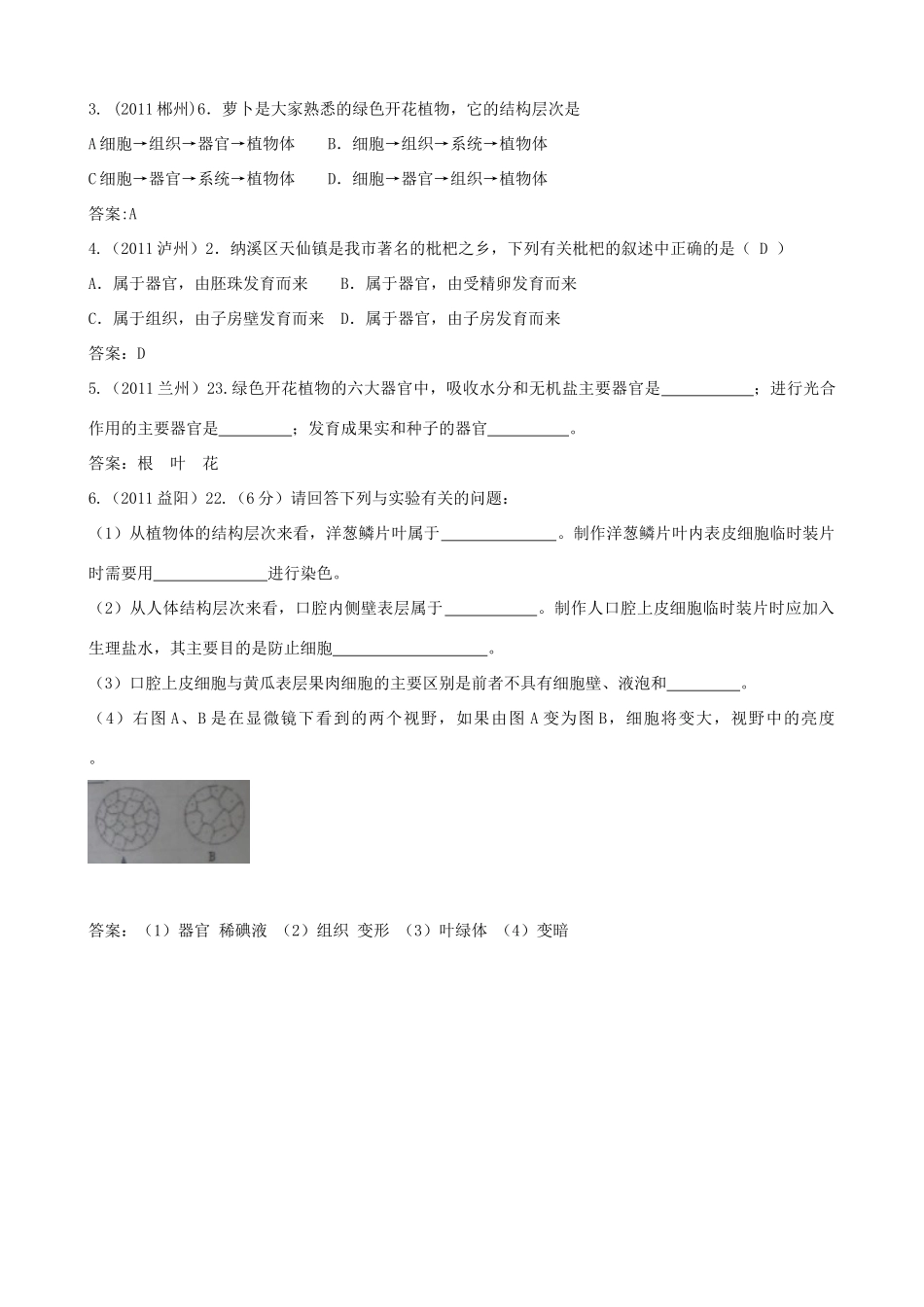中考生物考点专题复习6 生物体的结构层次与细胞的生理试卷_第2页