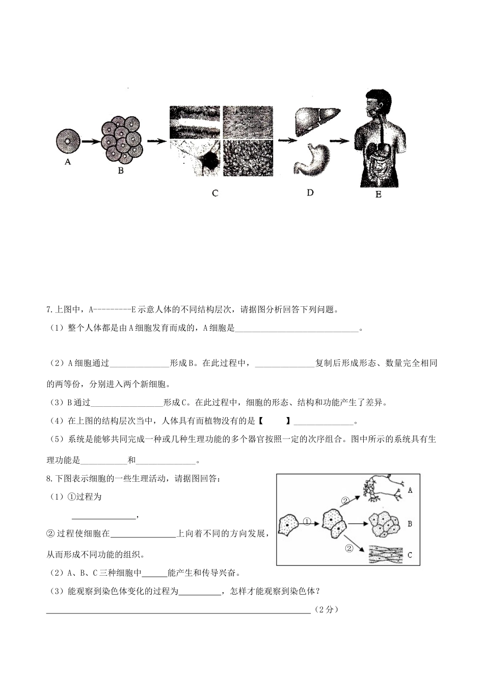中考生物考点专题复习6 生物体的结构层次与细胞的生理试卷_第3页