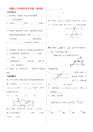 学中考数学 专题复习五 几何初步及平行线试卷