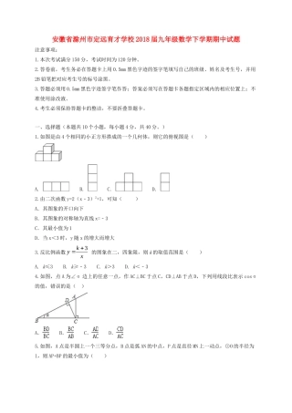安徽省滁州市定远育才学校九年级数学下学期期中试卷
