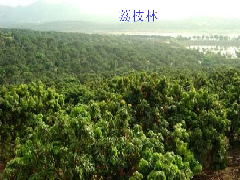 18.南州六月荔枝丹_第3页