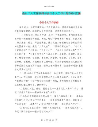 会计个人工作安排与会计个人工作计划2024汇编