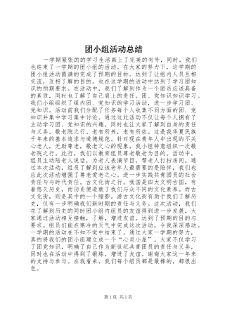 团小组活动总结 