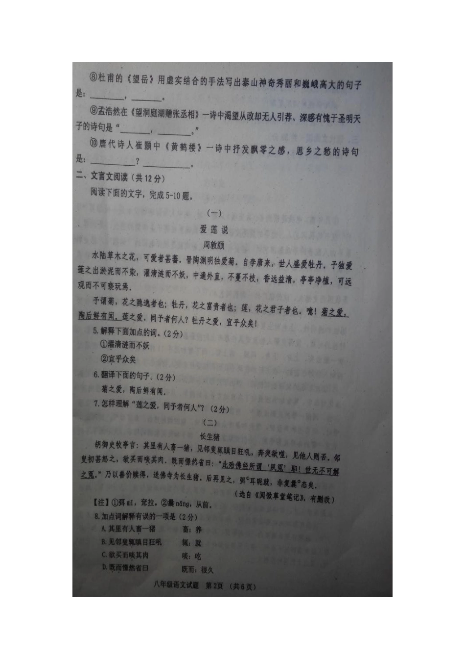 山东省临清市八年级语文上学期期中试卷新人教版试卷_第2页