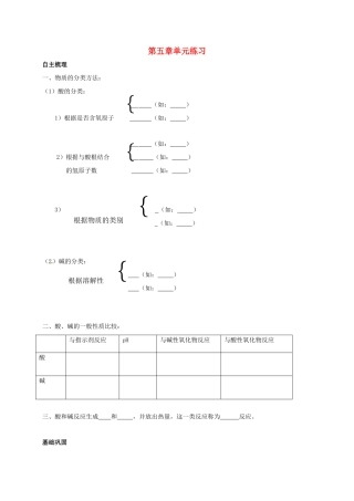 九年级化学下册 5 初识酸和碱校本作业(新版)沪教版试卷