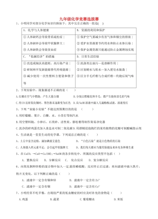 九年级化学下学期竞赛选拔赛试卷试卷