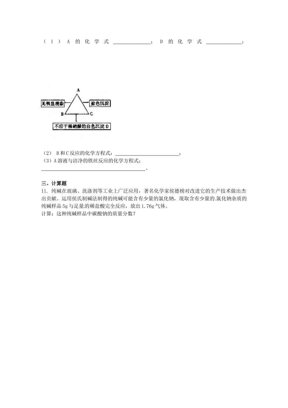 九年级化学下册 第十一单元(盐、化肥)学情调研补偿试卷  新人教版试卷_第2页