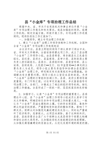 县“小金库”专项治理工作总结 